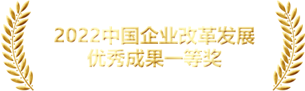 獎(jiǎng)項(xiàng)